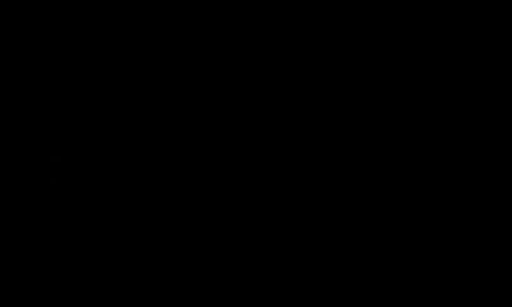 Logo der Firma Iseki in schwarz-weiß.